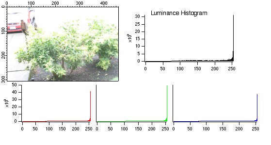 over-exposed image example with corresponding histograms