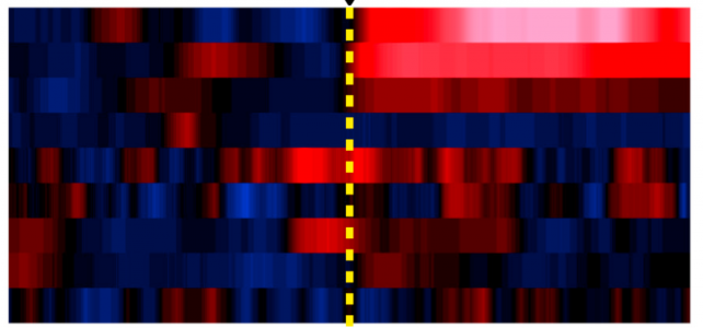 heatmap z-score