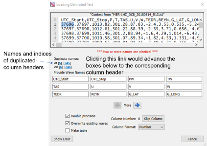 Load Delimited Text window with list of duplicate column names