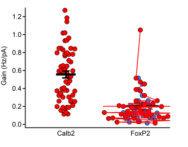 This is how the graph appears immediately upon reopening the experiment